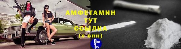 PSILOCYBIN Аркадак