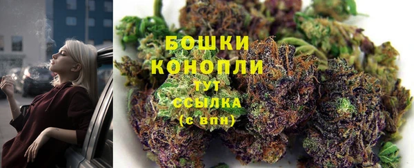 PSILOCYBIN Аркадак