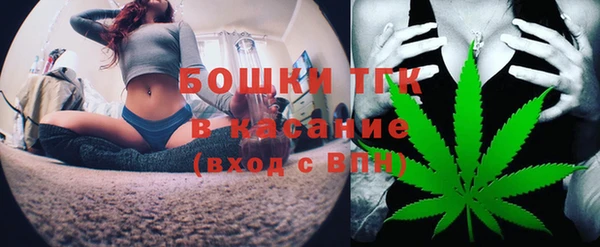PSILOCYBIN Аркадак