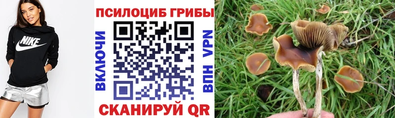 Галлюциногенные грибы мухоморы  закладки  Сортавала 
